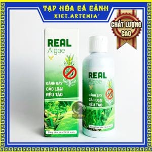 diệt rêu real algae