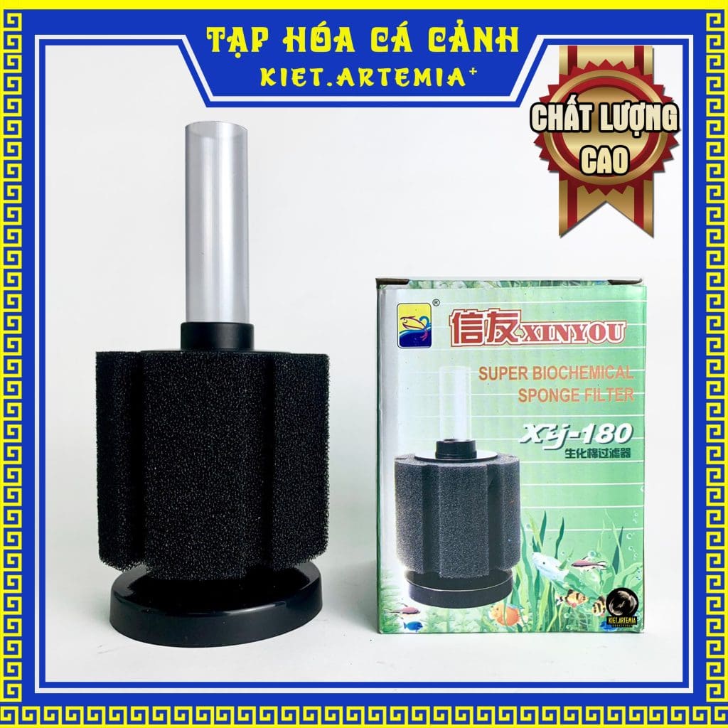 CÁCH TẠO VI SINH CHO HỒ CÁ BẢY MÀU NHANH CHÓNG VÀ ĐƠN GIẢN NHẤT