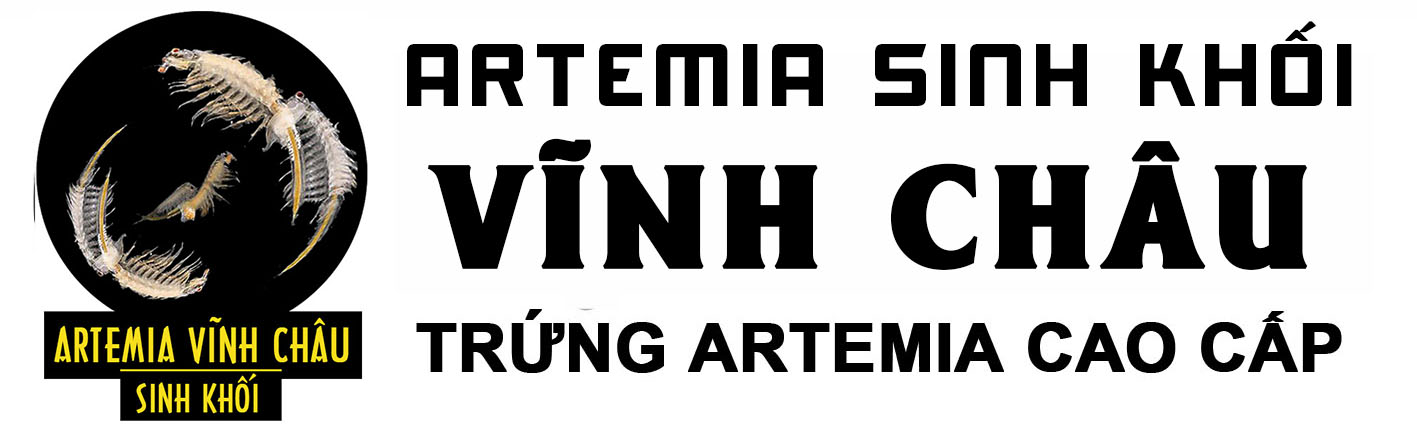 Artemia Sinh Khối Vĩnh Châu